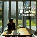 [25-3] 초록친구들, 힐링원예 | 샌드위치+라떼+초록뷰=힐링! 수원 매교동 카페 애테르누스 후기☕️