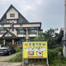 로뎀가든 | 제주 우도 맛집, 흑돼지 한치 주물럭과 한라산 볶음밥이 맛있는 로뎀가든 방문 후기