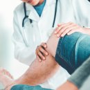 홀리병원 이미지