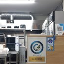 고돼지신천