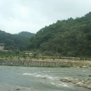 잠곡 1리 Daum카페