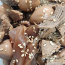 하림유통 | 🥚냉장고 필수템 등장! 하림 깐 메추리알 1kg 솔직 후기💥