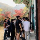 장흥안양중학교 티스토리