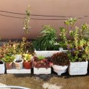 영진농장2 이미지