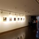 7월 일상 이야기