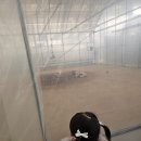 장화운동장 | 현장 체험들, 선생님 설명들으며 먹이주기 체험, 야외실내키즈놀이터 이용방법 및 꿀팁 내돈내산 솔직후기