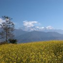 안나푸르나(Anna Purna) 이미지