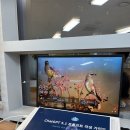 AI작곡 음원제작 | 부산 동래구혁신어울림센터 청년성장프로젝트 AI 영상 제작 작곡 교육 1일차 후기