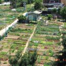 환희농장 이미지