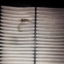 도양카센타 이미지