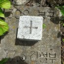 새덕산목장 티스토리