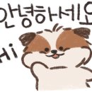 한남베르그도산 이미지