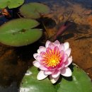 노근리평화공원(공원 주차장 화장실) 이미지