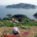 유동어촌체험마을 이미지