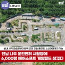 베타서바이벌 이미지