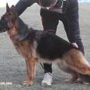 2022-02-0003 - 서산시 | 2022-02-0003