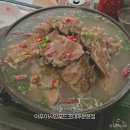 푸드마켓 금성점 | 조대 맛집 추천 아푸 아시안푸드 조대후문본점 아푸 나이트마켓 후기