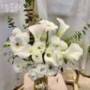 델플라워 이미지