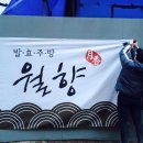 월향 이미지