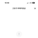 가조쿠