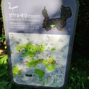 계남제 이미지