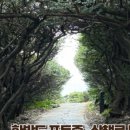 투빅커피태흥점 이미지