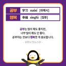 중국어(입문) 이미지