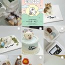 SNAPPY PETFOOD(스내피펫푸드) 이미지