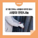 다함께새로이 이미지