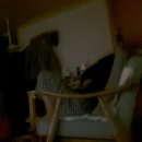 도야족발 대관령점 이미지