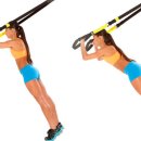 휘트니스 트리 이미지