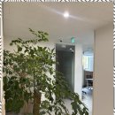 참회계법인 네이버블로그
