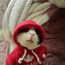 (주)정도 이미지