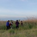 수라찬반 이미지