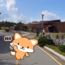 오션스파랜드 이미지