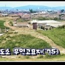 ♤*리버스(reverse)멘토링(mentoring)* ♧ 이미지