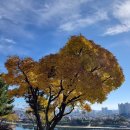 칠암동 경남문화예술회관 건너둔치 | 서장대~촉석루~선학산~소망진산