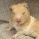 아케이드존 이미지