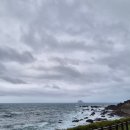 놀러왕 | 투어 후기 / 택시투어 후기 /대만 날씨, 옷차림 / 예스진지 투어 팁/ 리얼마이트립/ 대만놀러왕 투어 후기