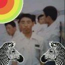 달빛여행 이미지