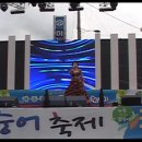 가수 정향숙 하동 녹차 참 숭어 축제( 2011년 11월 11일)...2 이미지