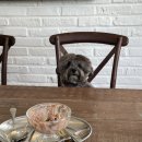 위캔드그리니치 이미지