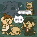 하모니퍼피 네이버블로그