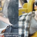 원헤어살롱 - 평택시 | 원헤어살롱