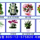 꽃방카라 이미지