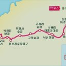 제주 올레길 21코스 이미지