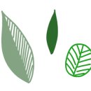 전주호성중학교 이미지