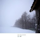 혜원목장 이미지