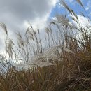 동서가든 | [♥W02-1♥] W스퀘어 웨딩홀(부암동) 홀투어 후기 및 27년 2월(더애비뉴,더가든) 견적공유