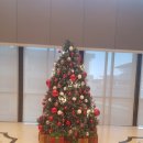 부산화교소학교 | 2박3일 부산 여행 코스 1일차 | 파워J형 여행 일정표 첨부 | 해운대 씨라이프부산아쿠아리움 아스티호텔...